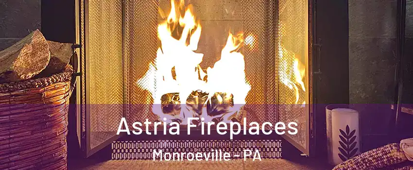  Astria Fireplaces Monroeville - PA