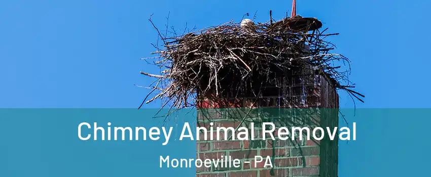  Chimney Animal Removal Monroeville - PA