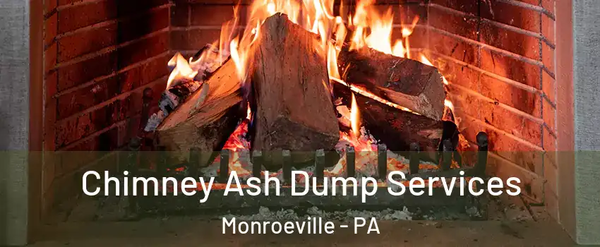  Chimney Ash Dump Services Monroeville - PA
