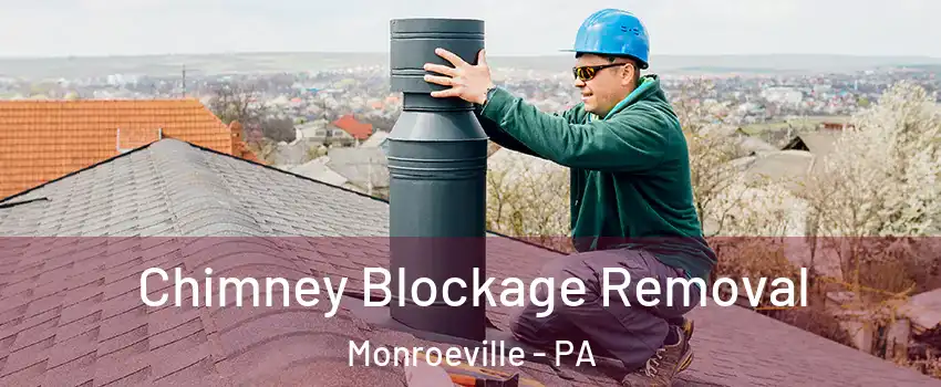  Chimney Blockage Removal Monroeville - PA