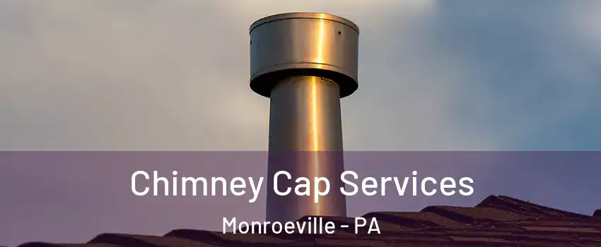 Chimney Cap Services Monroeville - PA