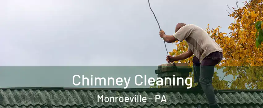  Chimney Cleaning Monroeville - PA