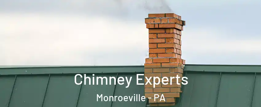  Chimney Experts Monroeville - PA