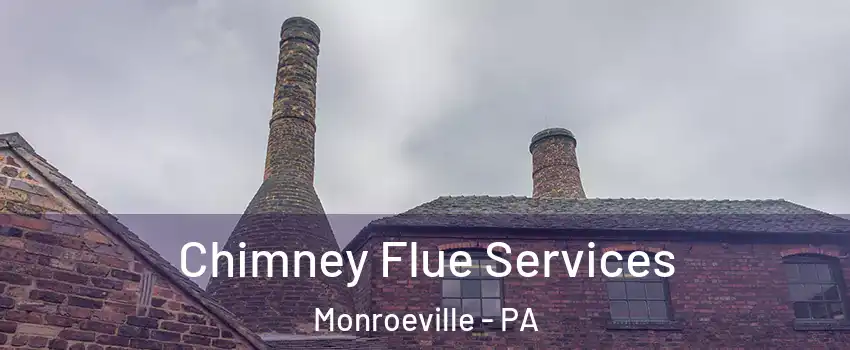  Chimney Flue Services Monroeville - PA