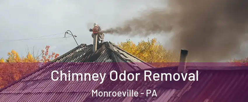 Chimney Odor Removal Monroeville - PA