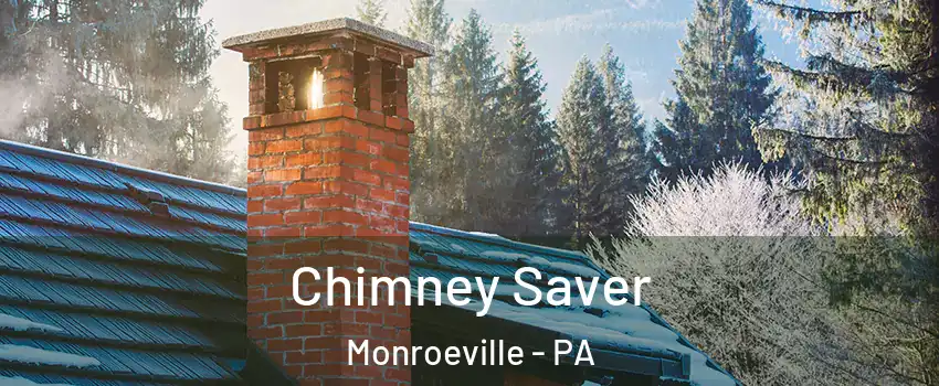  Chimney Saver Monroeville - PA