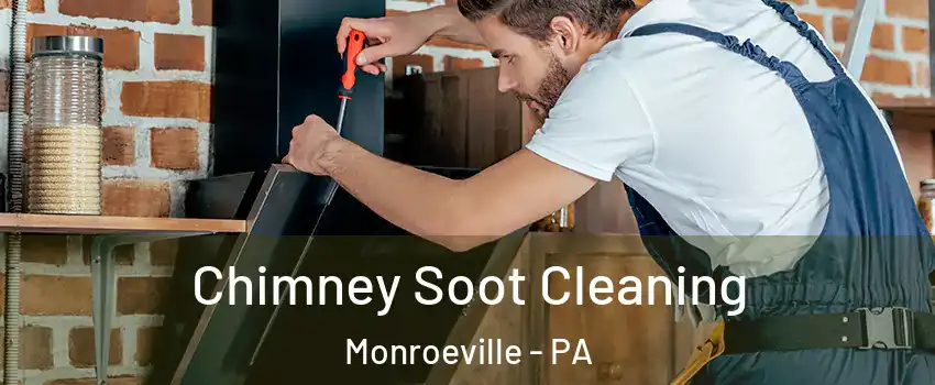  Chimney Soot Cleaning Monroeville - PA