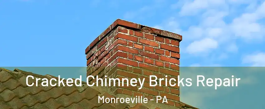  Cracked Chimney Bricks Repair Monroeville - PA