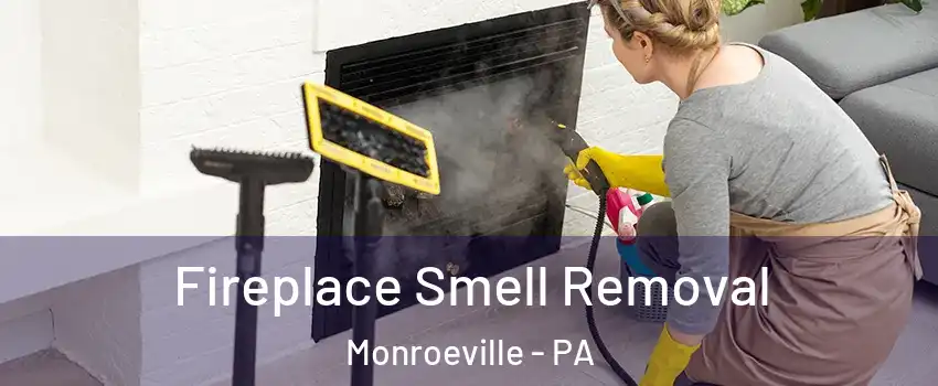  Fireplace Smell Removal Monroeville - PA