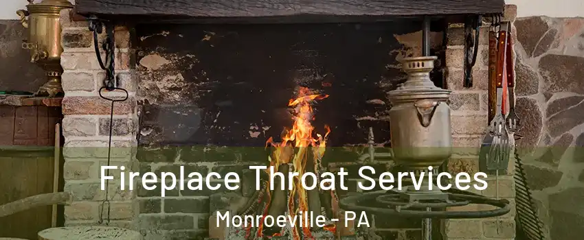  Fireplace Throat Services Monroeville - PA