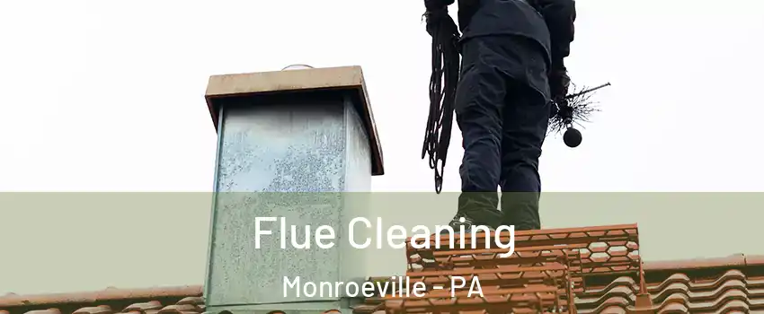  Flue Cleaning Monroeville - PA