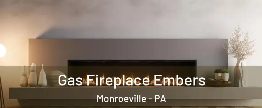  Gas Fireplace Embers Monroeville - PA