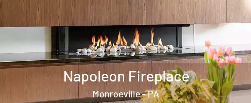  Napoleon Fireplace Monroeville - PA