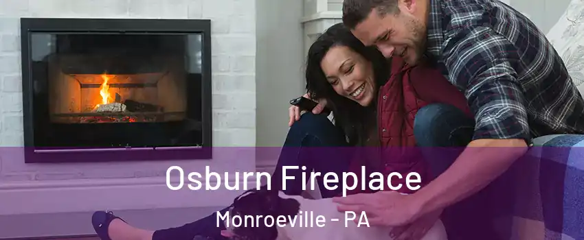  Osburn Fireplace Monroeville - PA
